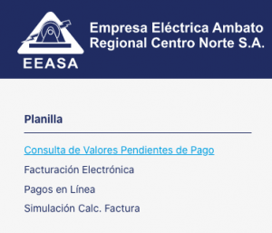 Planilla De Luz En Ambato Consultar Y Pagar Paso A Paso