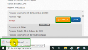 Planilla De Luz En Machala » Consultar Y Pagar (paso A Paso)